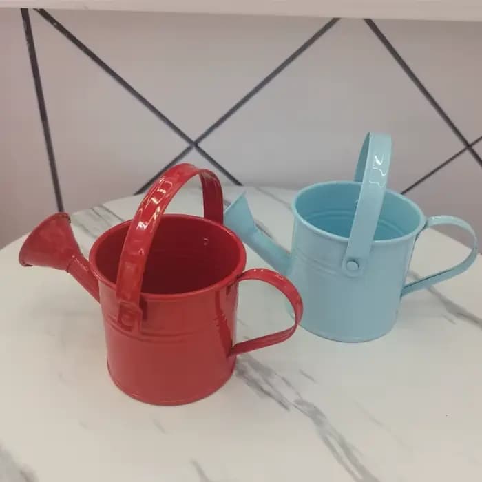 Arrosoir en métal pour jardin-Mini petit pot pulvérisateur