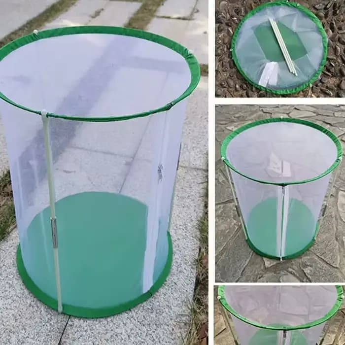 Tente de serre pour plantes en PVC transparent