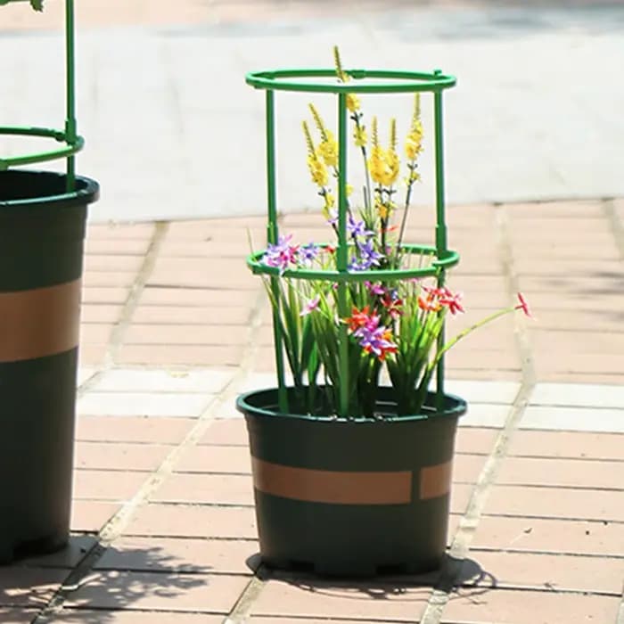 Cages verticales pour tomates