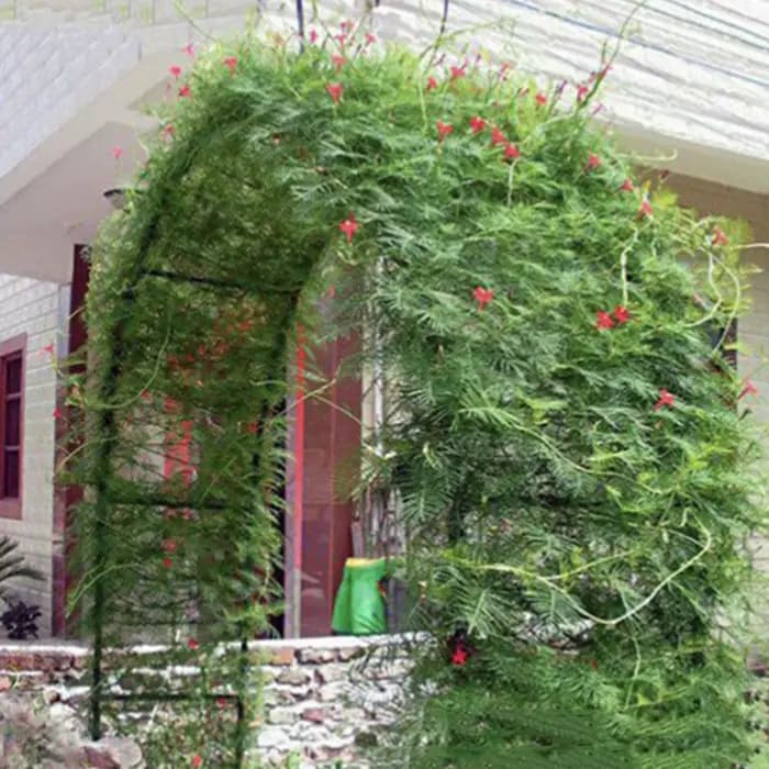 Arches de jardin, supports pour plantes