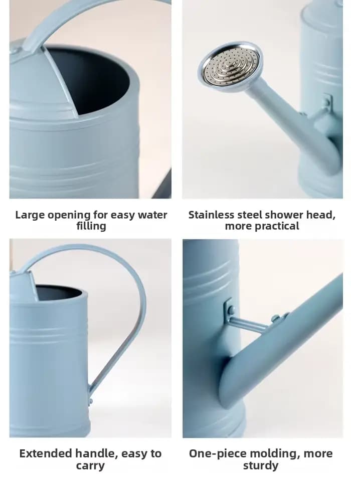 Arrosoir pour plantes avec tête de pulvérisation