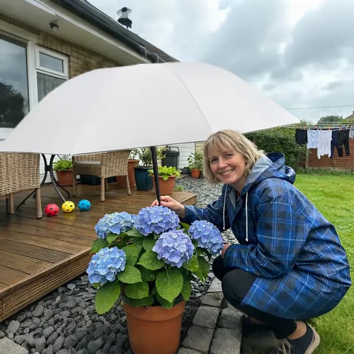 Parasols pour plantes d'extérieur