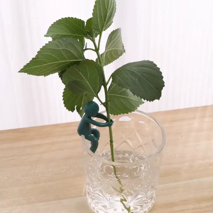 Cadre de Support pour plantes