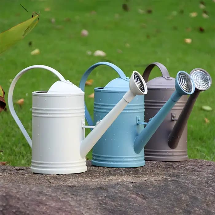 Arrosoir pour plantes avec tête de pulvérisation