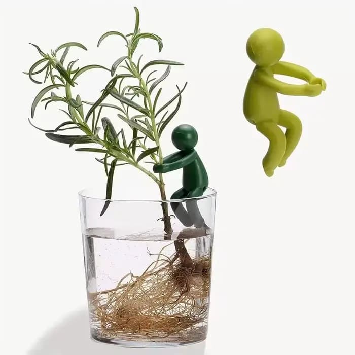 Cadre de Support pour plantes