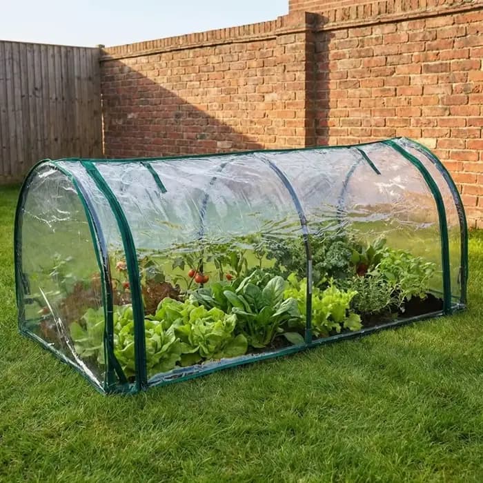 Mini-serre transparente pour plantes