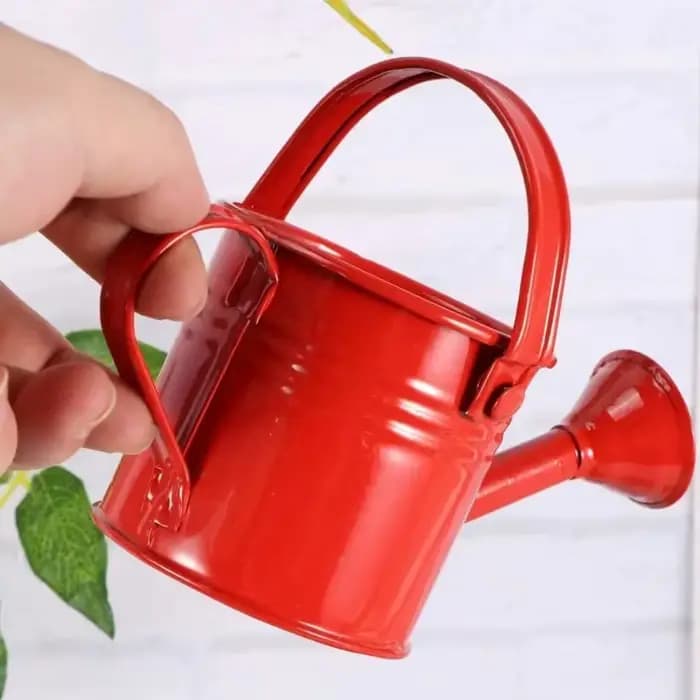 Arrosoir en métal pour jardin-Mini petit pot pulvérisateur