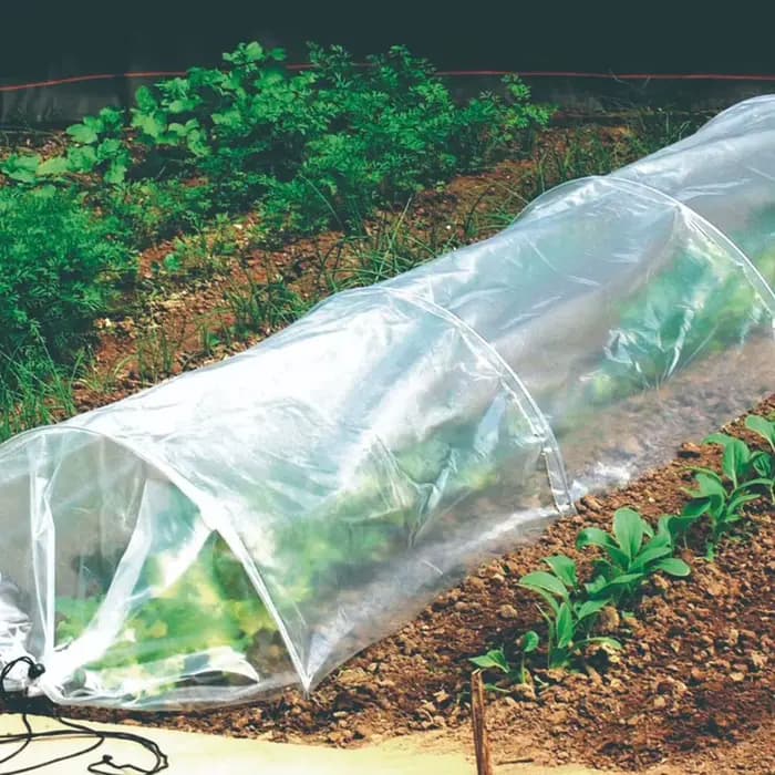 Tunnel de jardin en plastique pour serre agricole