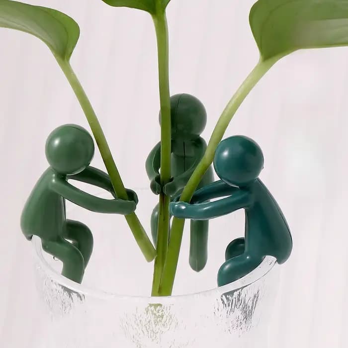 Cadre de Support pour plantes