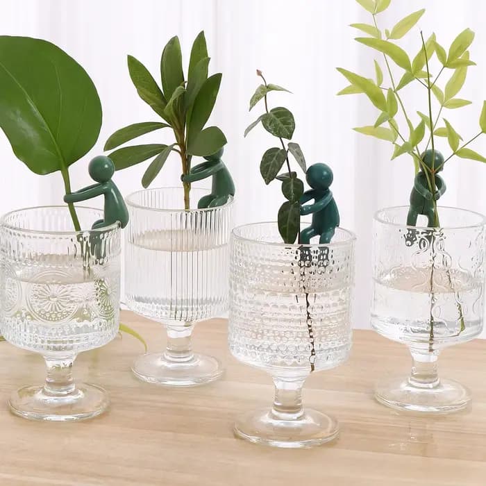 Cadre de Support pour plantes