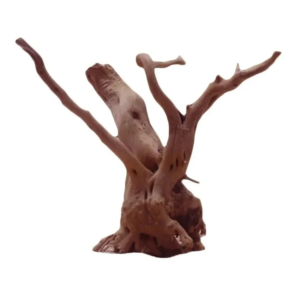 Décoration d'aquarium en bois naturel pour reptiles : Tronc d'arbre, bois flotté, racines, accessoire pour plantes d'aquarium
