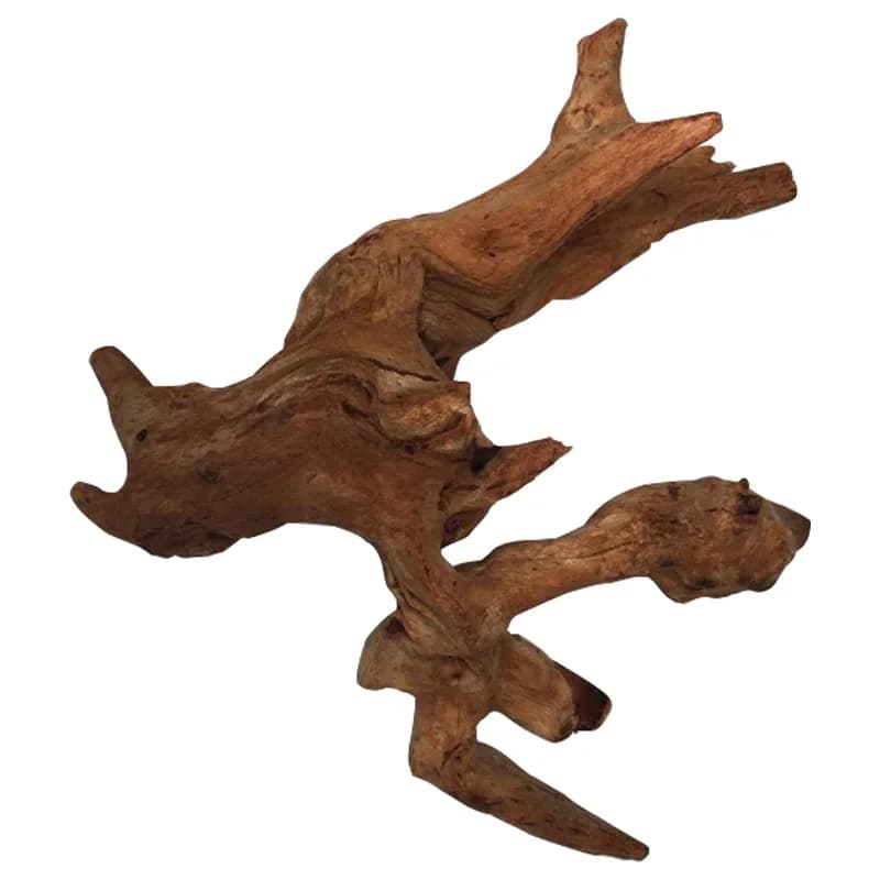 Décoration d'aquarium en bois naturel pour reptiles : Tronc d'arbre, bois flotté, racines, accessoire pour plantes d'aquarium