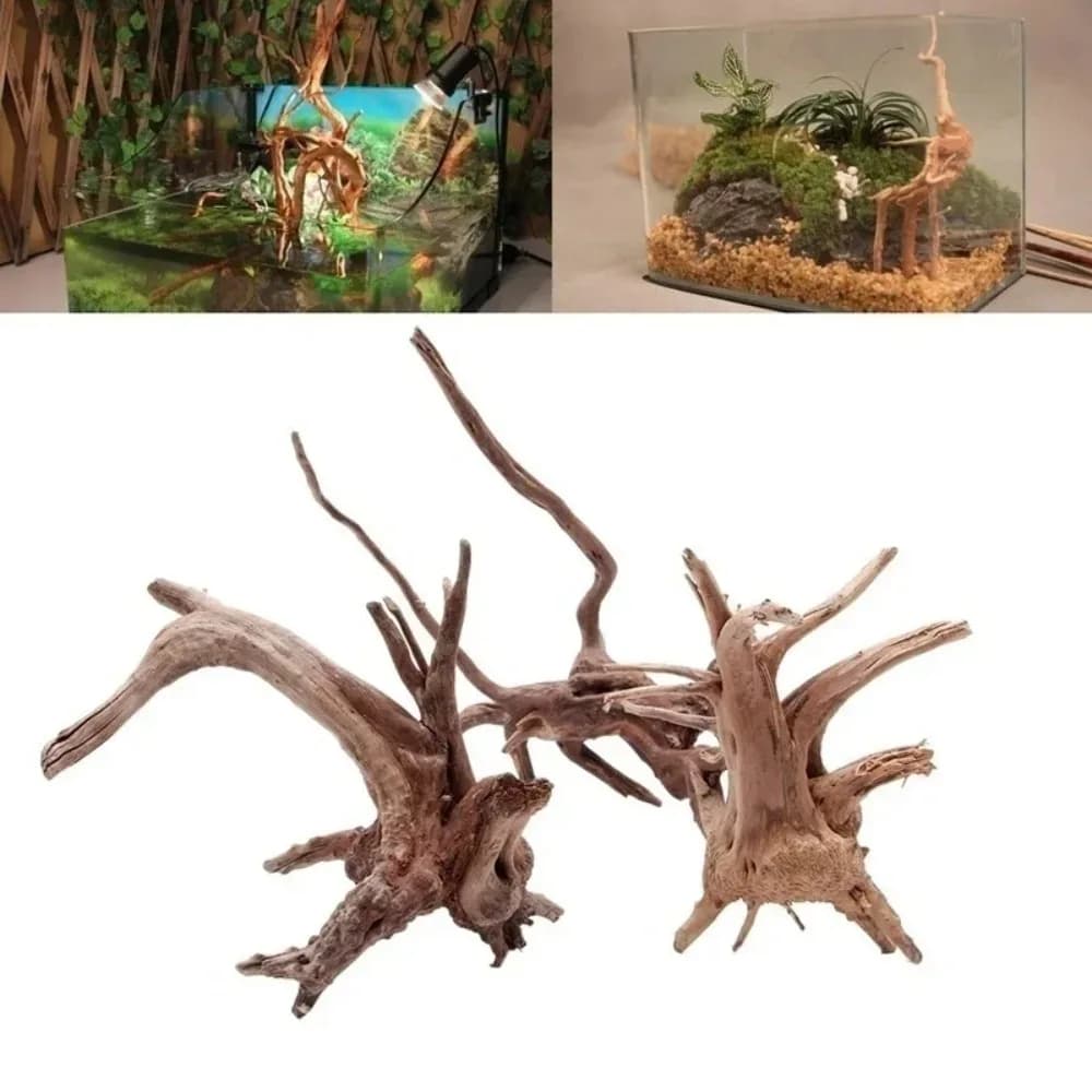 Décoration d'aquarium en bois naturel pour reptiles : Tronc d'arbre, bois flotté, racines, accessoire pour plantes d'aquarium